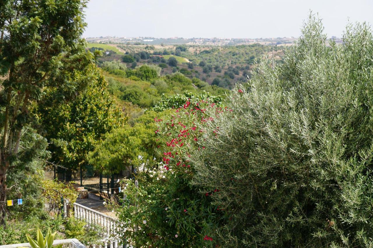 Quinta Das Camelias Tremes Bagian luar foto