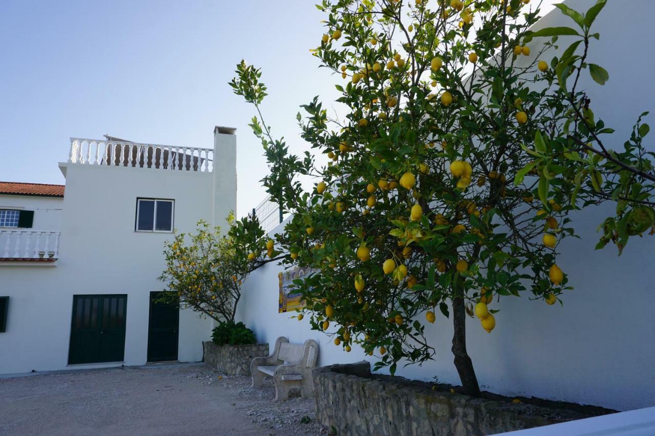 Quinta Das Camelias Tremes Bagian luar foto